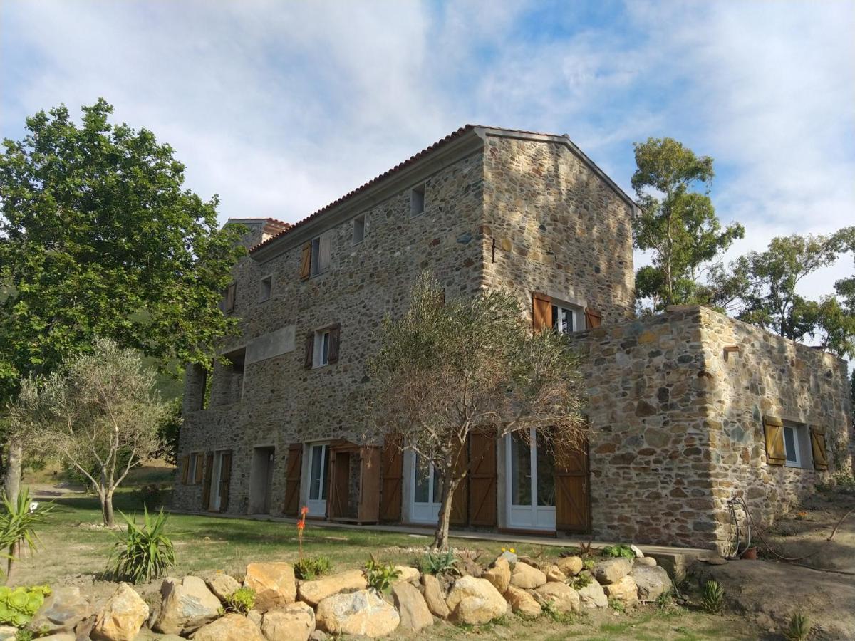 Mulinu Biancu Poggio-d'Oletta Exterior foto